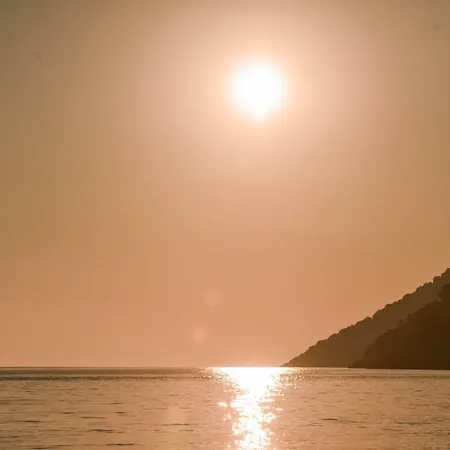Green Coast * Palasë